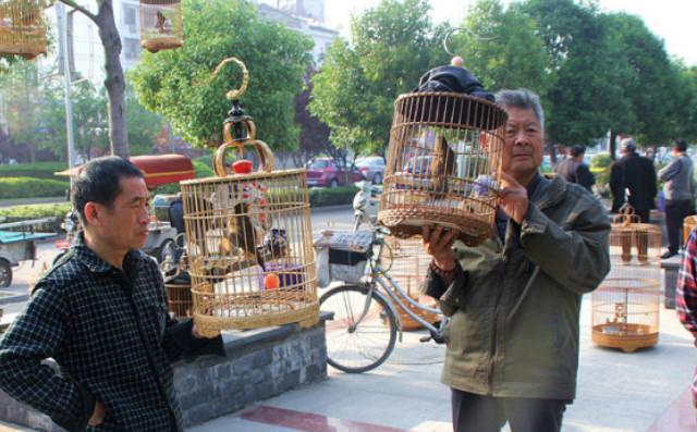 俗语“钓鱼穷三年，玩鸟毁一生”下半句才是精华，你可能不知道