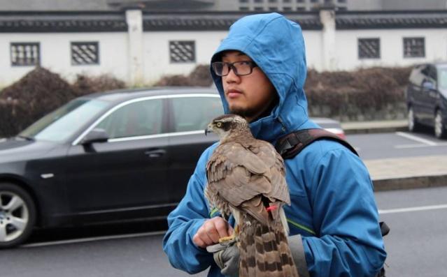 俗语“钓鱼穷三年，玩鸟毁一生”下半句才是精华，你可能不知道