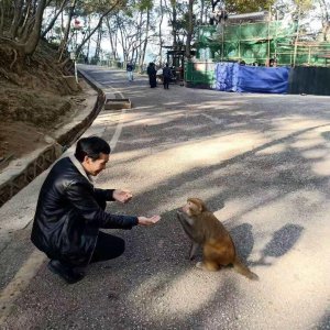 ​一支烟一杯酒一首老情歌